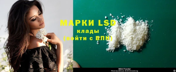 spice Беломорск