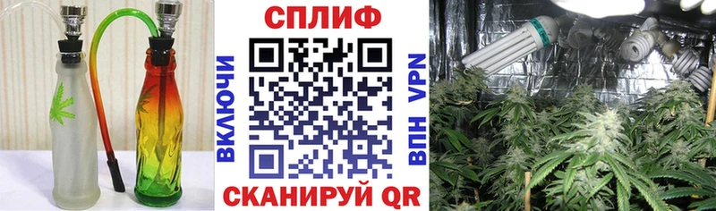 Бошки марихуана сатива  что такое   Куса 